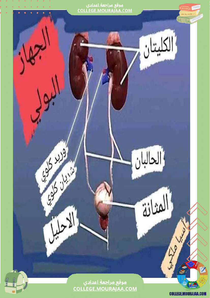 التاسعة_أساسي_علوم_الحياة_و_الارض_وظيفي_ة_الاخراج