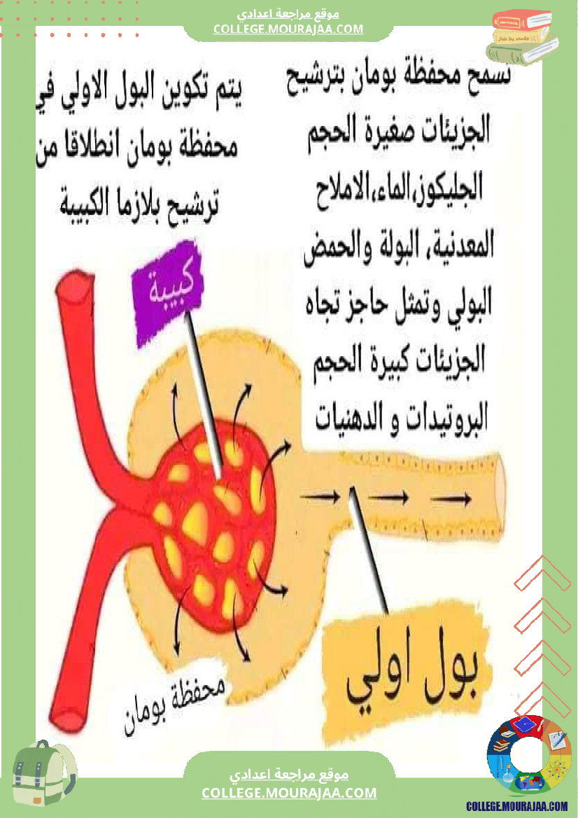 التاسعة_أساسي_علوم_الحياة_و_الارض_وظيفي_ة_الاخراج