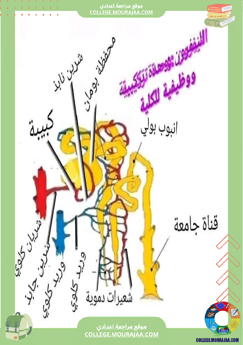 تاسعة_اساسي_علوم_الحياة_و_الارض