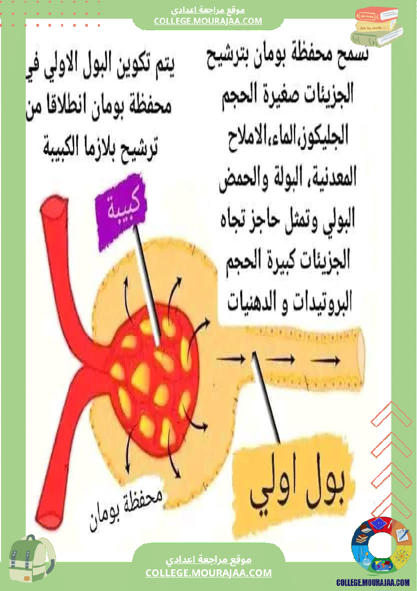 تاسعة_اساسي_علوم_الحياة_و_الارض