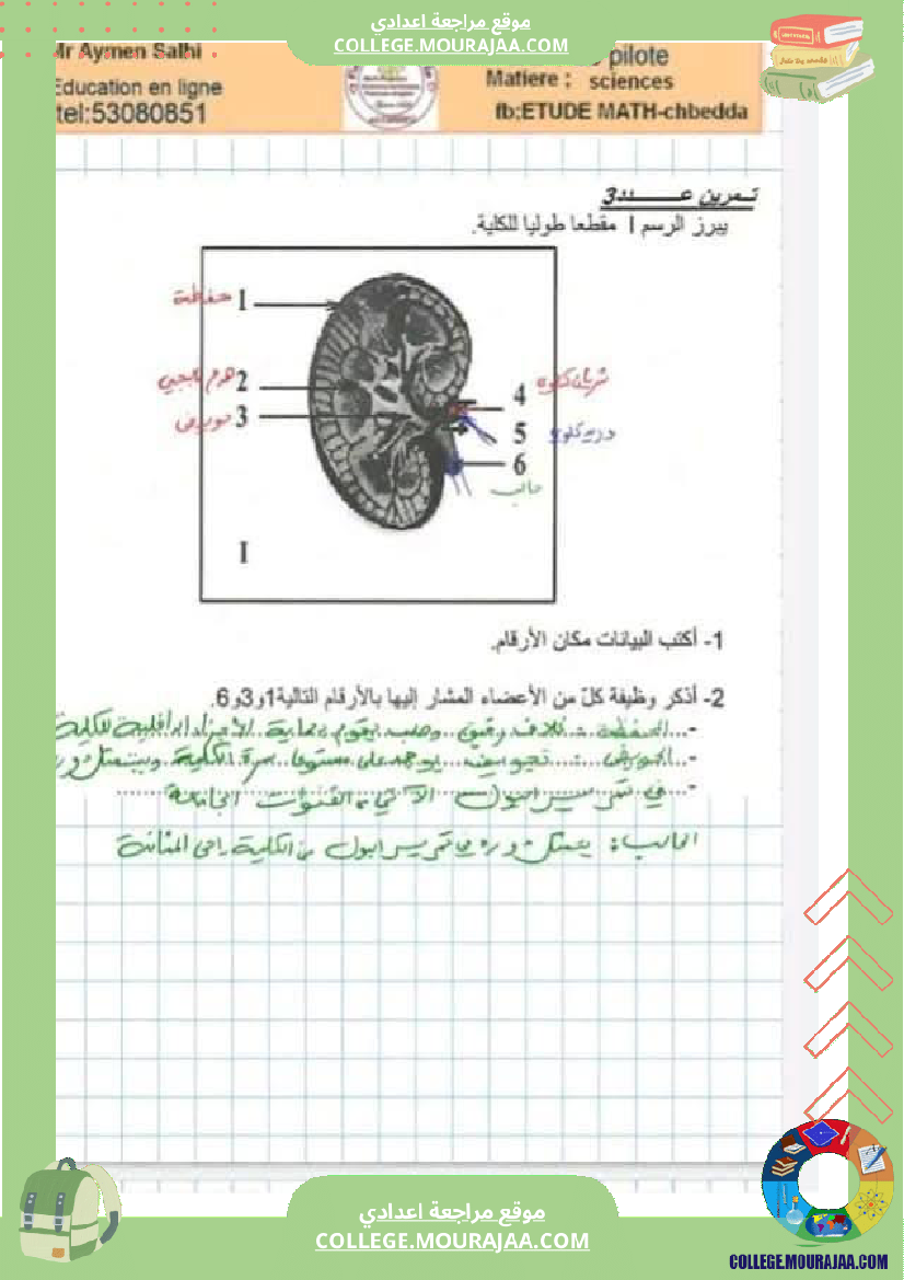 تاسعة_اساسي_علوم_الحياة_و_الارض