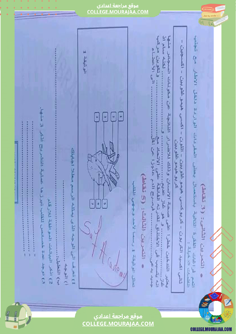 علوم_حياة_والأرض_تاسعة_مراجعة__في_التأليفي_وفي_المناظرة