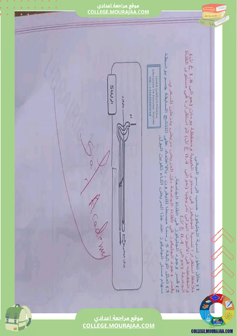 علوم_حياة_والأرض_تاسعة_مراجعة__في_التأليفي_وفي_المناظرة