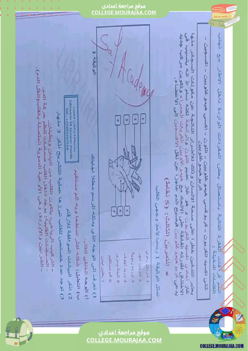 علوم_حياة_والأرض_تاسعة_مراجعة__في_التأليفي_وفي_المناظرة