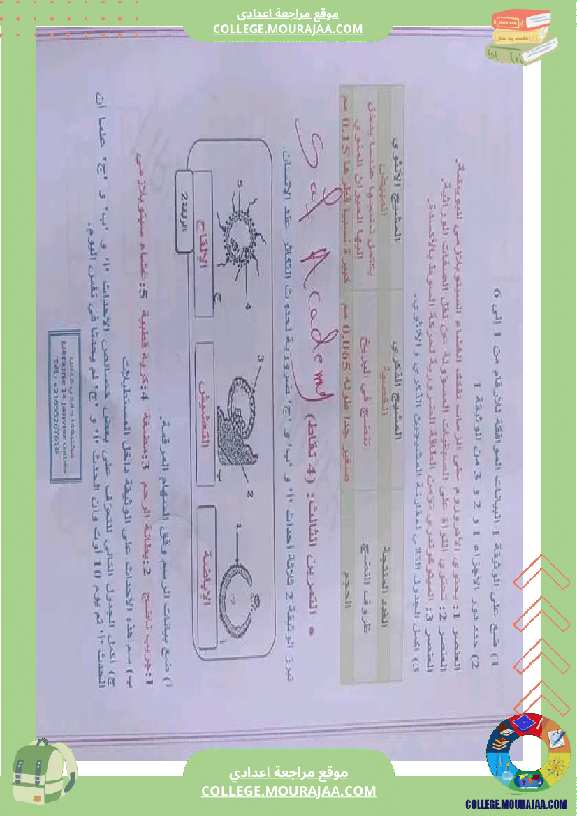 علوم_حياة_والأرض_تاسعة_مراجعة__في_التأليفي_وفي_المناظرة