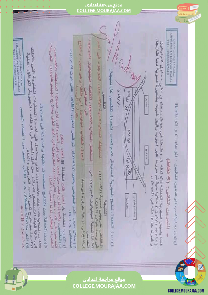 علوم_حياة_والأرض_تاسعة_مراجعة__في_التأليفي_وفي_المناظرة