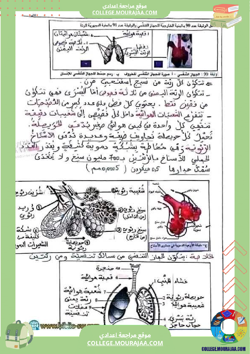 علوم_حياة_والأرض_سنة_تاسعة_)