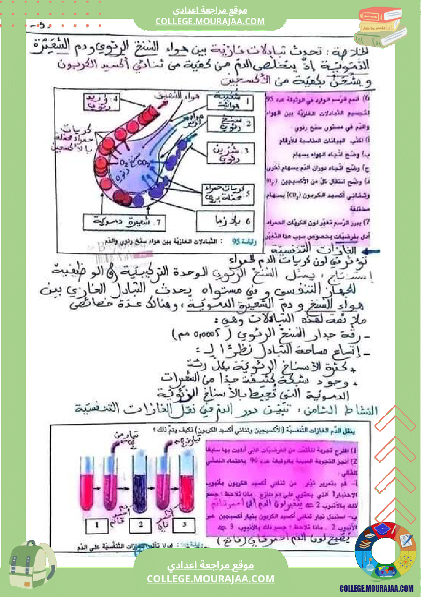 علوم_حياة_والأرض_سنة_تاسعة_مراجعة_لشهادة_ختم_التعليم_الأساسي