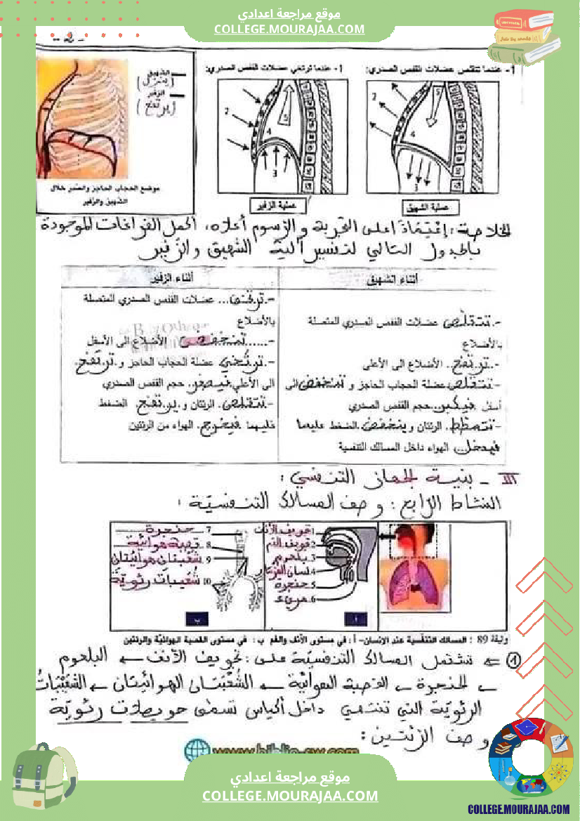 علوم_حياة_والأرض_سنة_تاسعة_مراجعة_لشهادة_ختم_التعليم_الأساسي