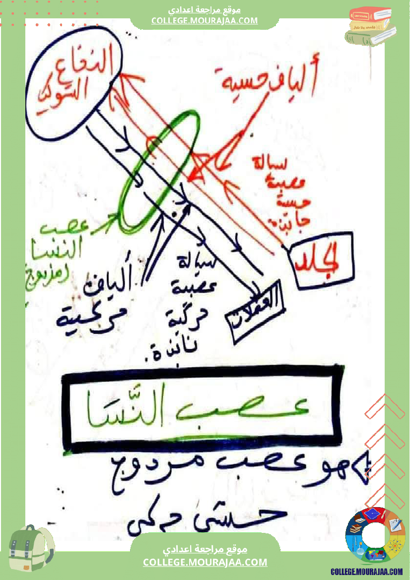 وثائق_علوم_الحياة_و_الأرض_للسنوات_9_نموذجي