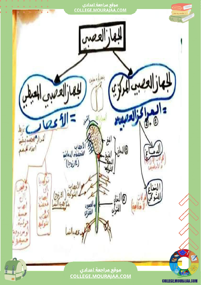وثائق_علوم_الحياة_و_الأرض_للسنوات_9_نموذجي