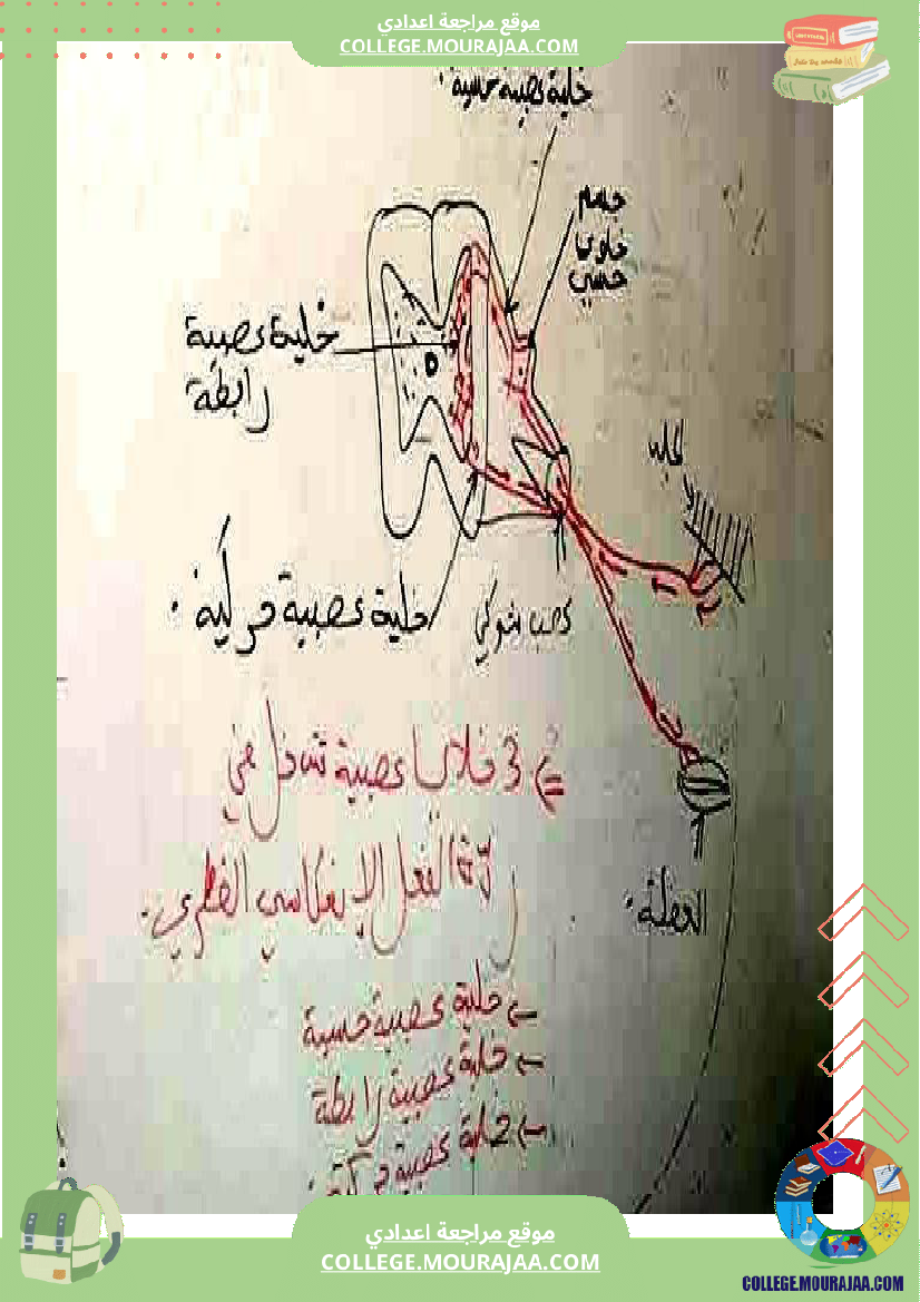 وثائق في مادة علوم الحياة والأرض للسنوات التاسعة نموذجي 