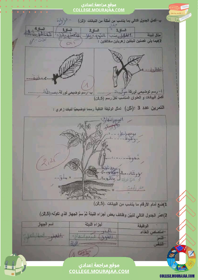 فرض_مراقبة_للسنة_السابعة_علوم_الحياة_و_الارض_الثلاثي_الثالث