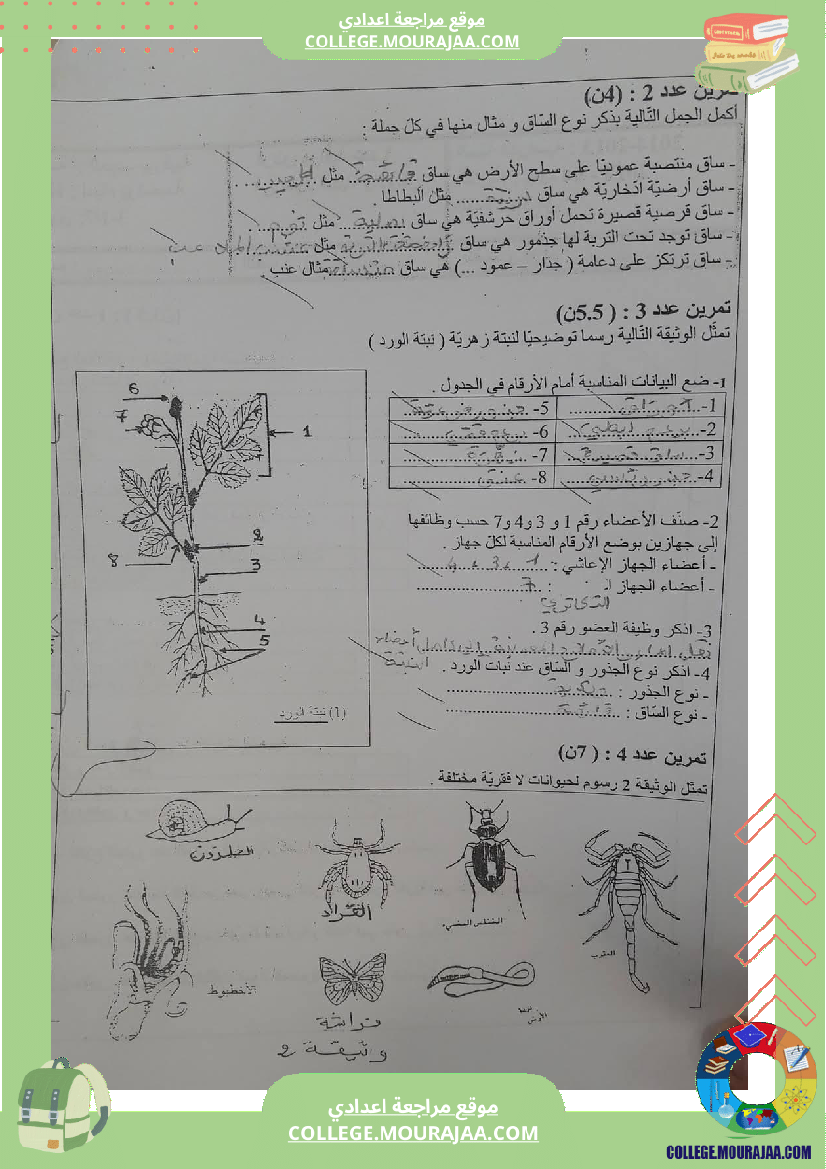 فرض_مراقبة_للسنة_السابعة_علوم_الحياة_و_الارض_الثلاثي_الثالث
