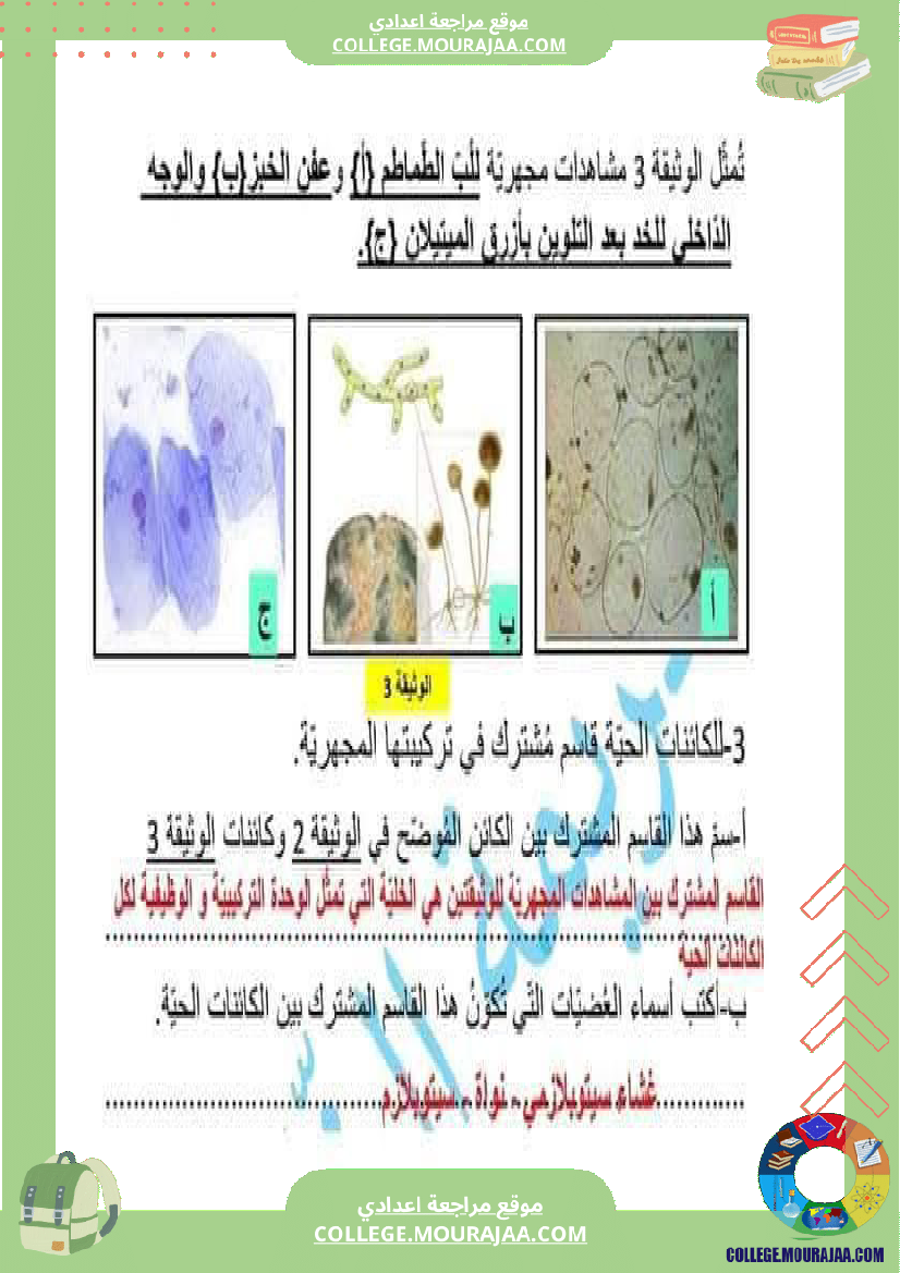 فرض_تأليفي_السابعة_في_علوم_الحياة_و_الارض_الثلاثي_الثالث