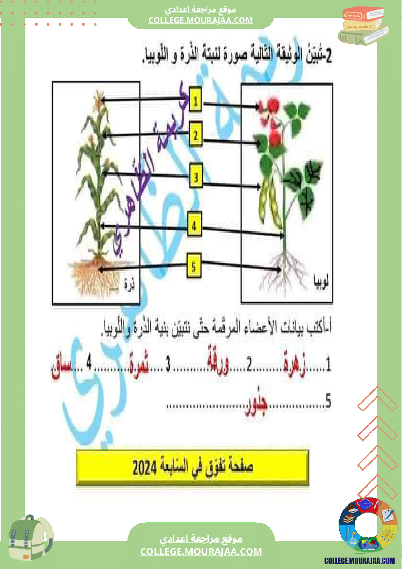 فرض_تأليفي_السابعة_في_علوم_الحياة_و_الارض_الثلاثي_الثالث