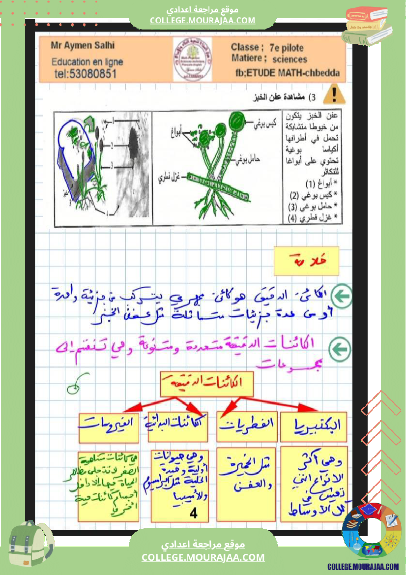 السابعة أساسي مراجعة علوم الحياة والارض