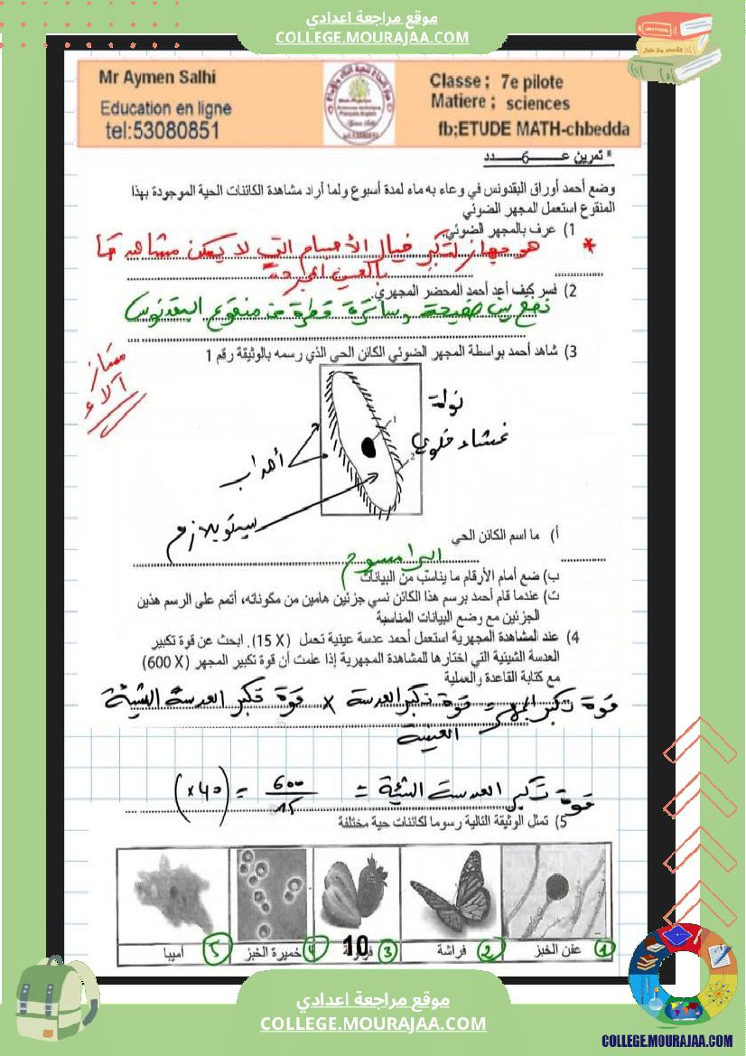 السابعة أساسي مراجعة علوم الحياة والارض