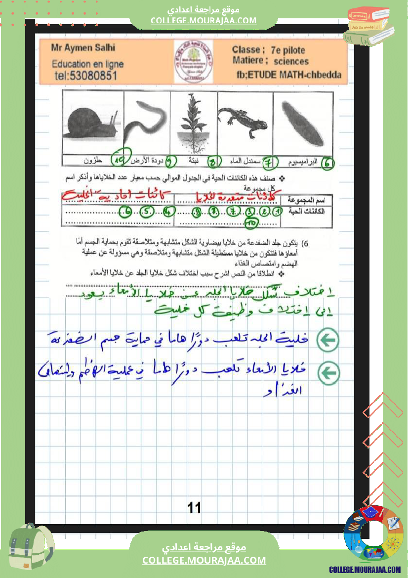 السابعة أساسي مراجعة علوم الحياة والارض