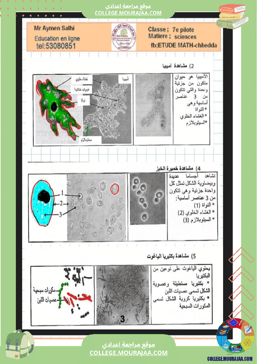 السابعة أساسي مراجعة علوم الحياة والارض