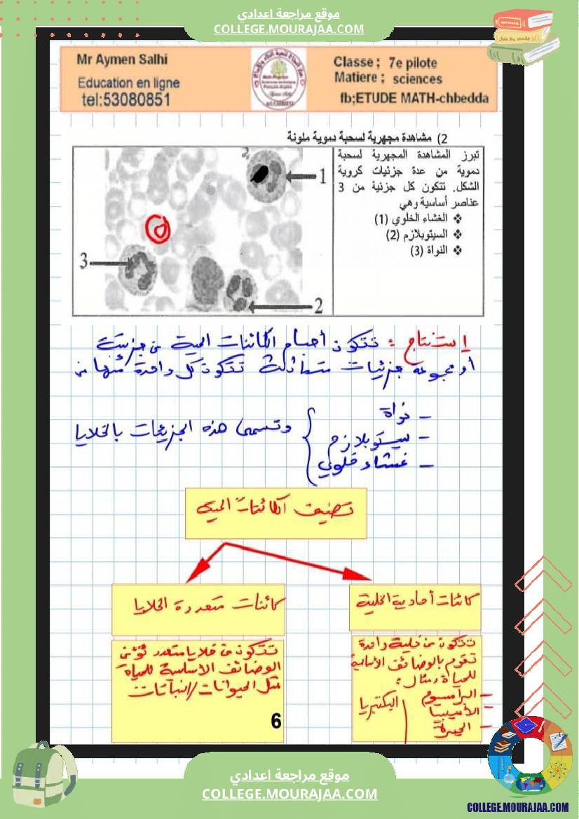 السابعة أساسي مراجعة علوم الحياة والارض