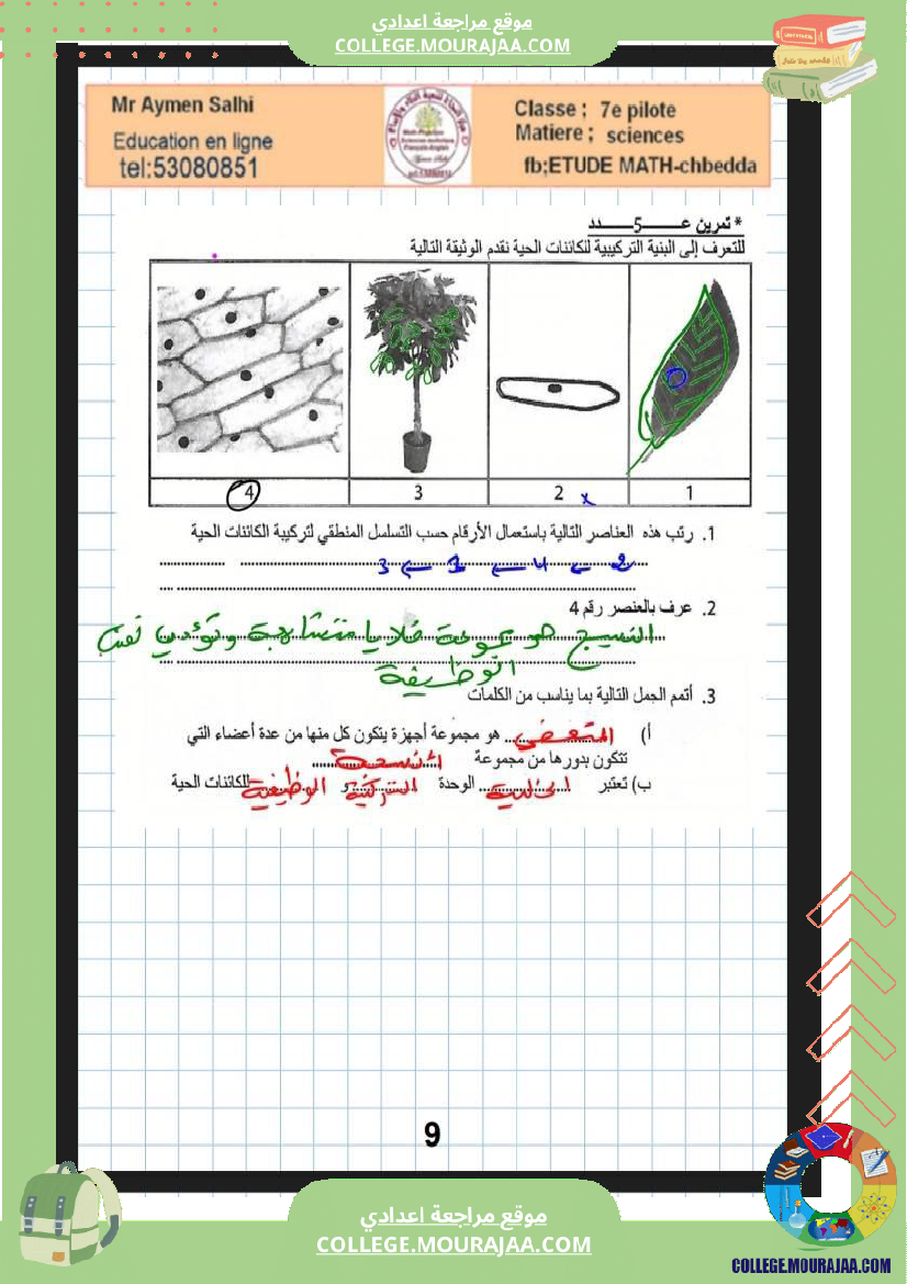 السابعة أساسي مراجعة علوم الحياة والارض