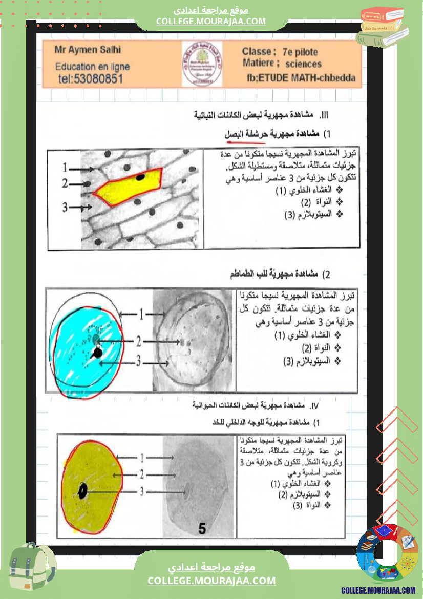 السابعة أساسي مراجعة علوم الحياة والارض