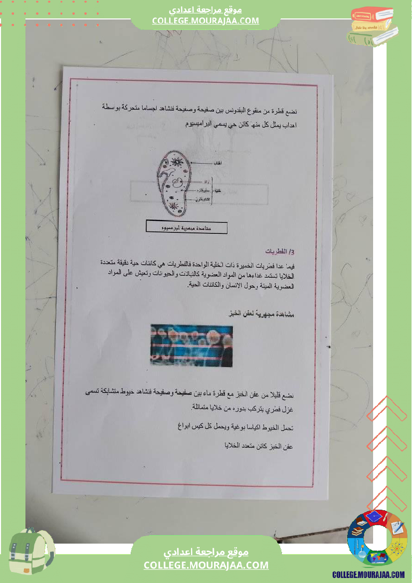 تلخيص درس علوم الحياة و الأرض تنوع الكائنات الدقيقة سنة سابعة اساسي جيد للمراجعة