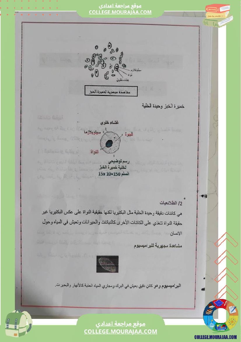 تلخيص درس علوم الحياة و الأرض تنوع الكائنات الدقيقة سنة سابعة اساسي جيد للمراجعة