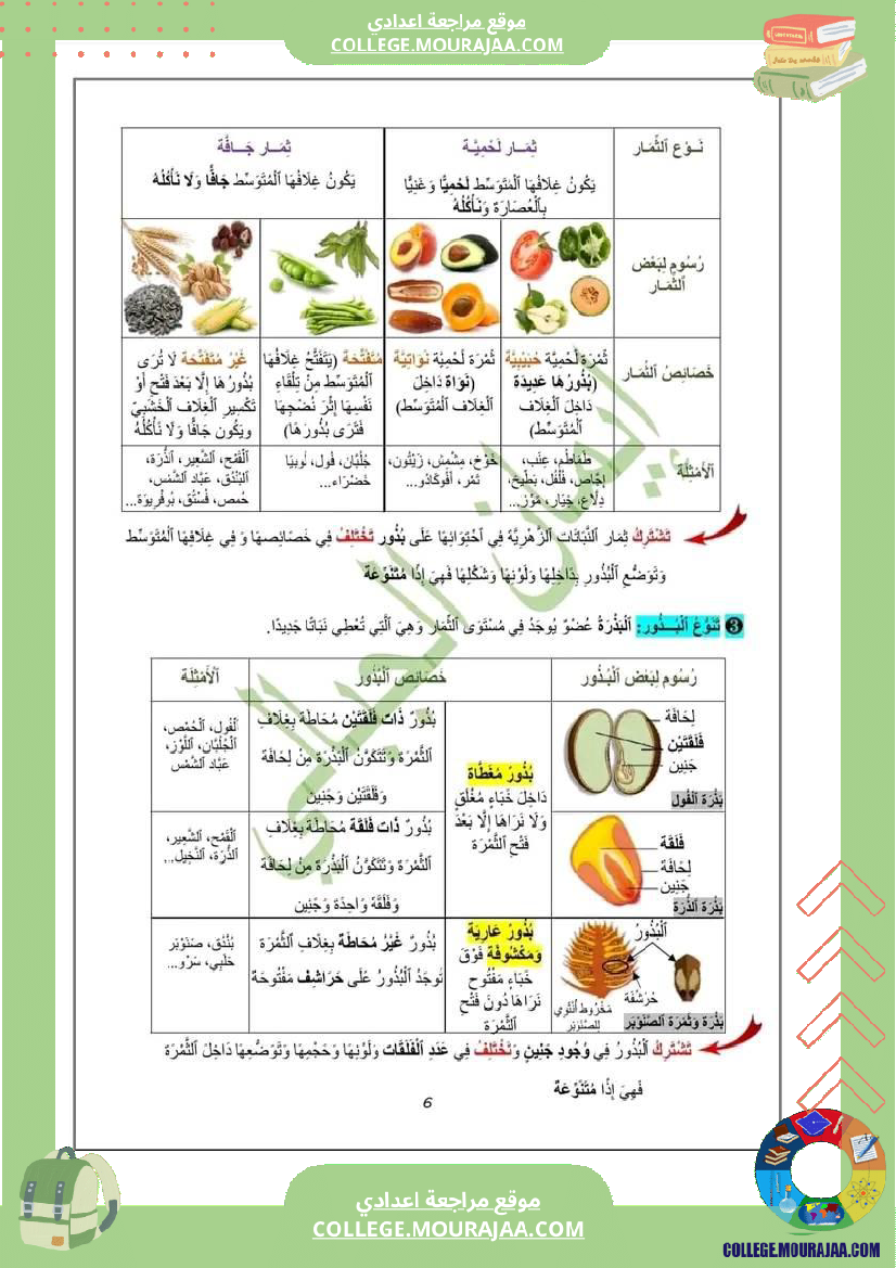 درس النباتات الزهرية لتلاميذ السنة السابعة أساسي