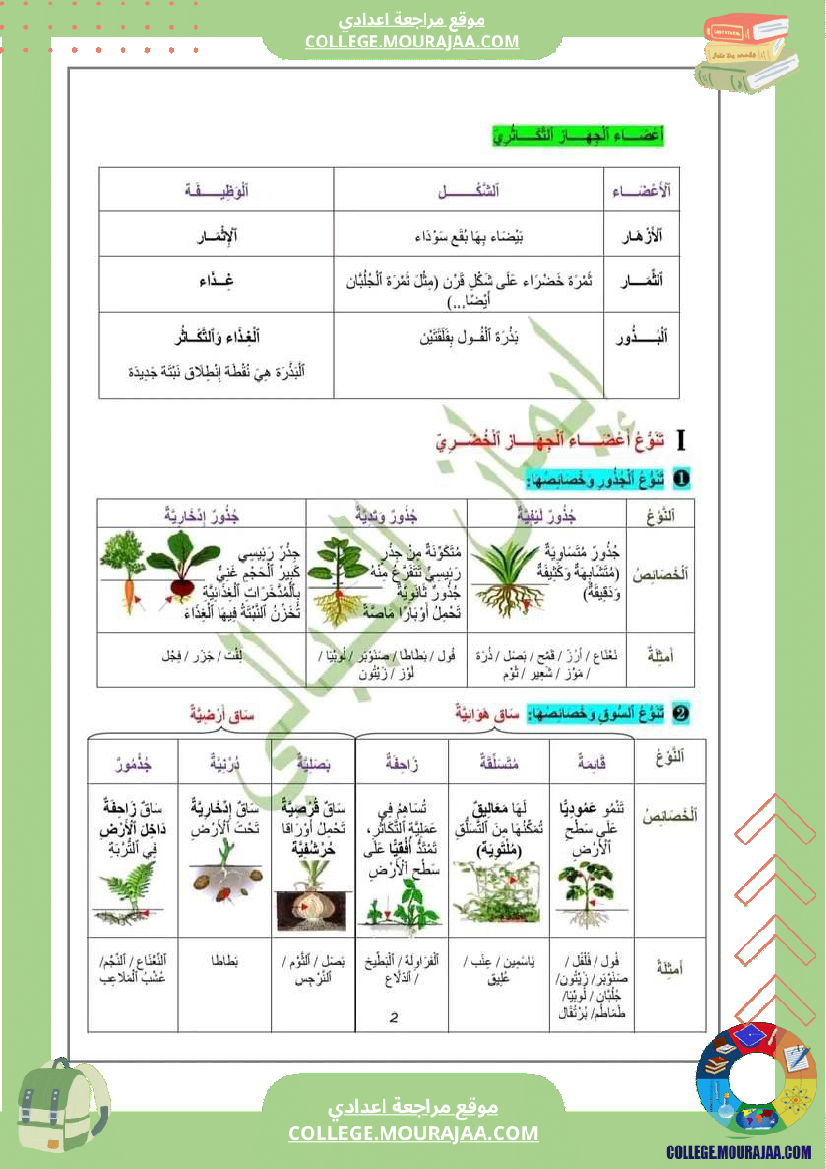 درس النباتات الزهرية لتلاميذ السنة السابعة أساسي