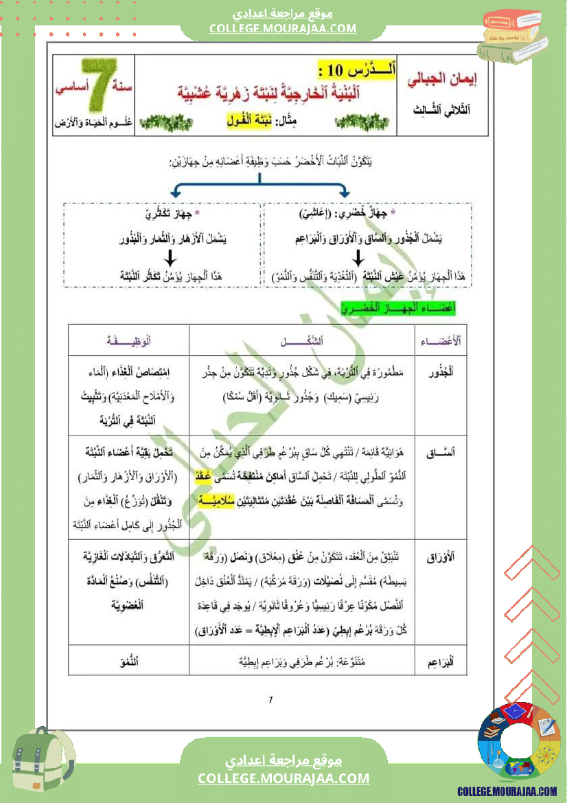 درس النباتات الزهرية لتلاميذ السنة السابعة أساسي