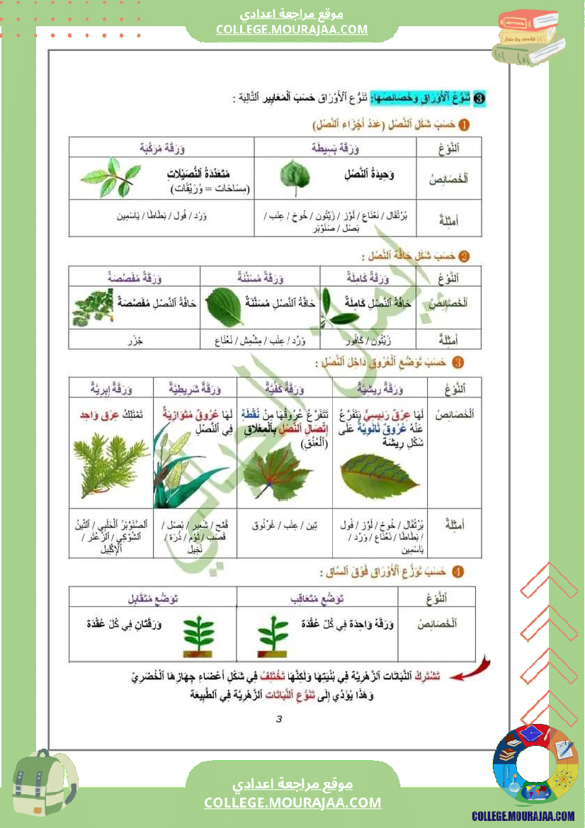 درس النباتات الزهرية لتلاميذ السنة السابعة أساسي