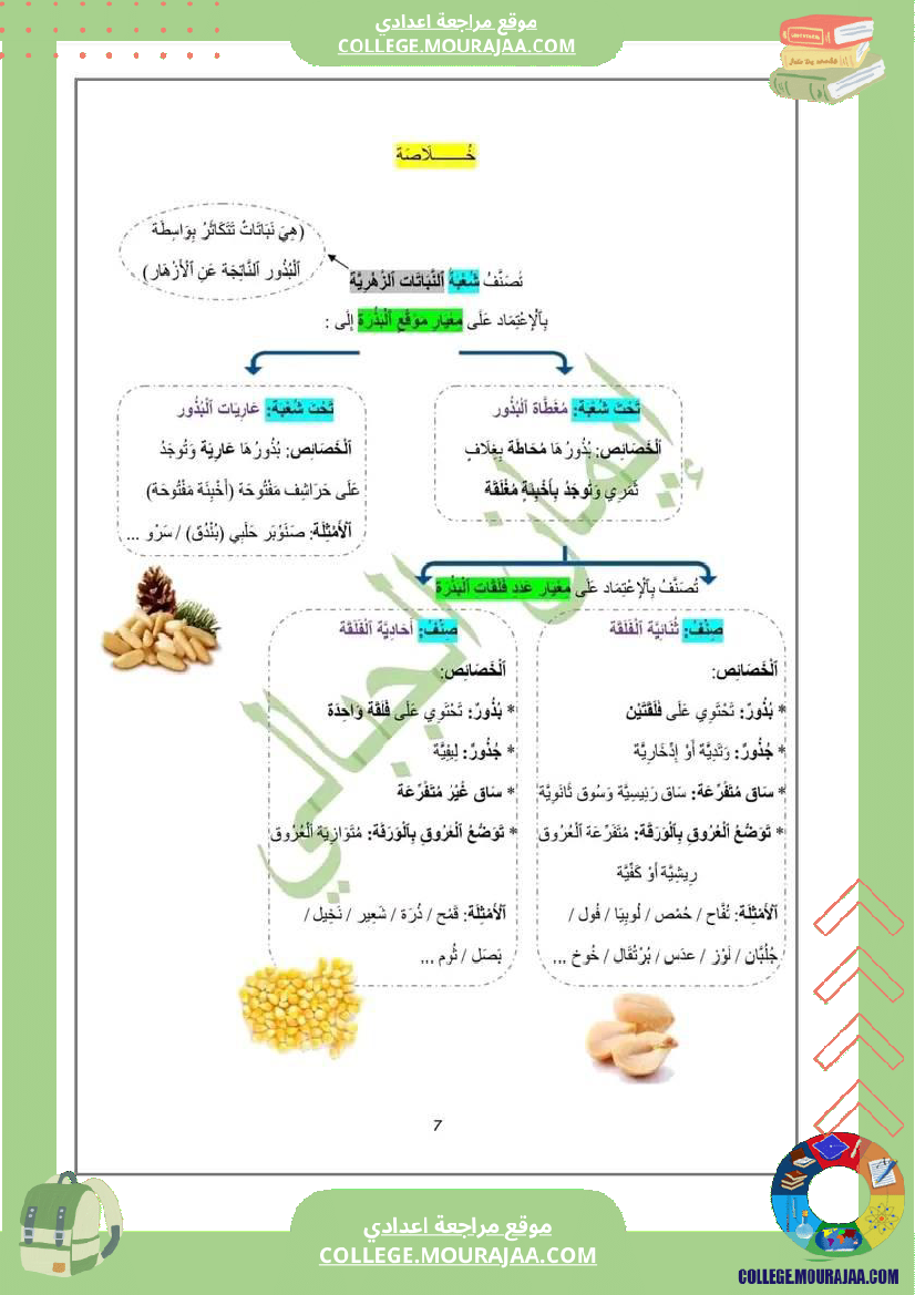 درس النباتات الزهرية لتلاميذ السنة السابعة أساسي