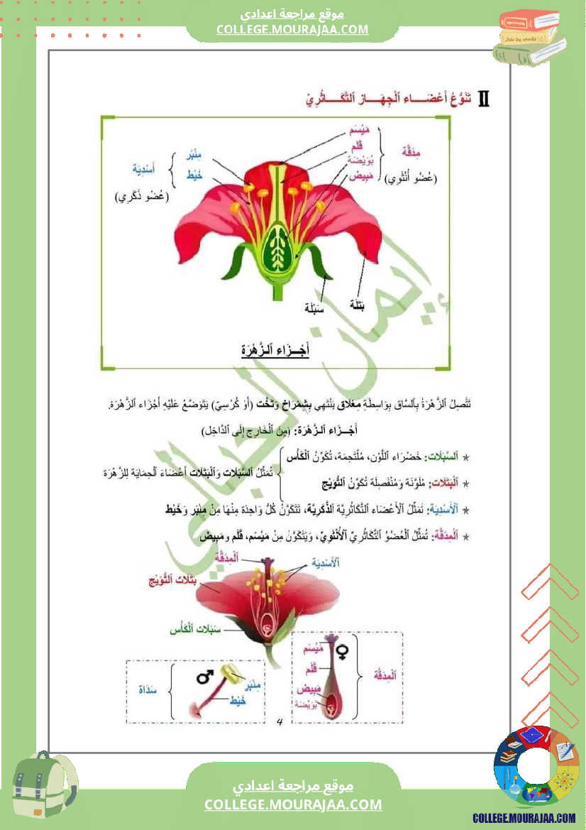 درس النباتات الزهرية لتلاميذ السنة السابعة أساسي