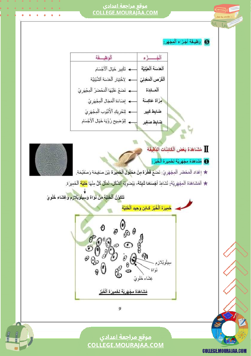 درس تنوع الكائنات الدقيقة لتلاميذ السنة السابعة أساسي