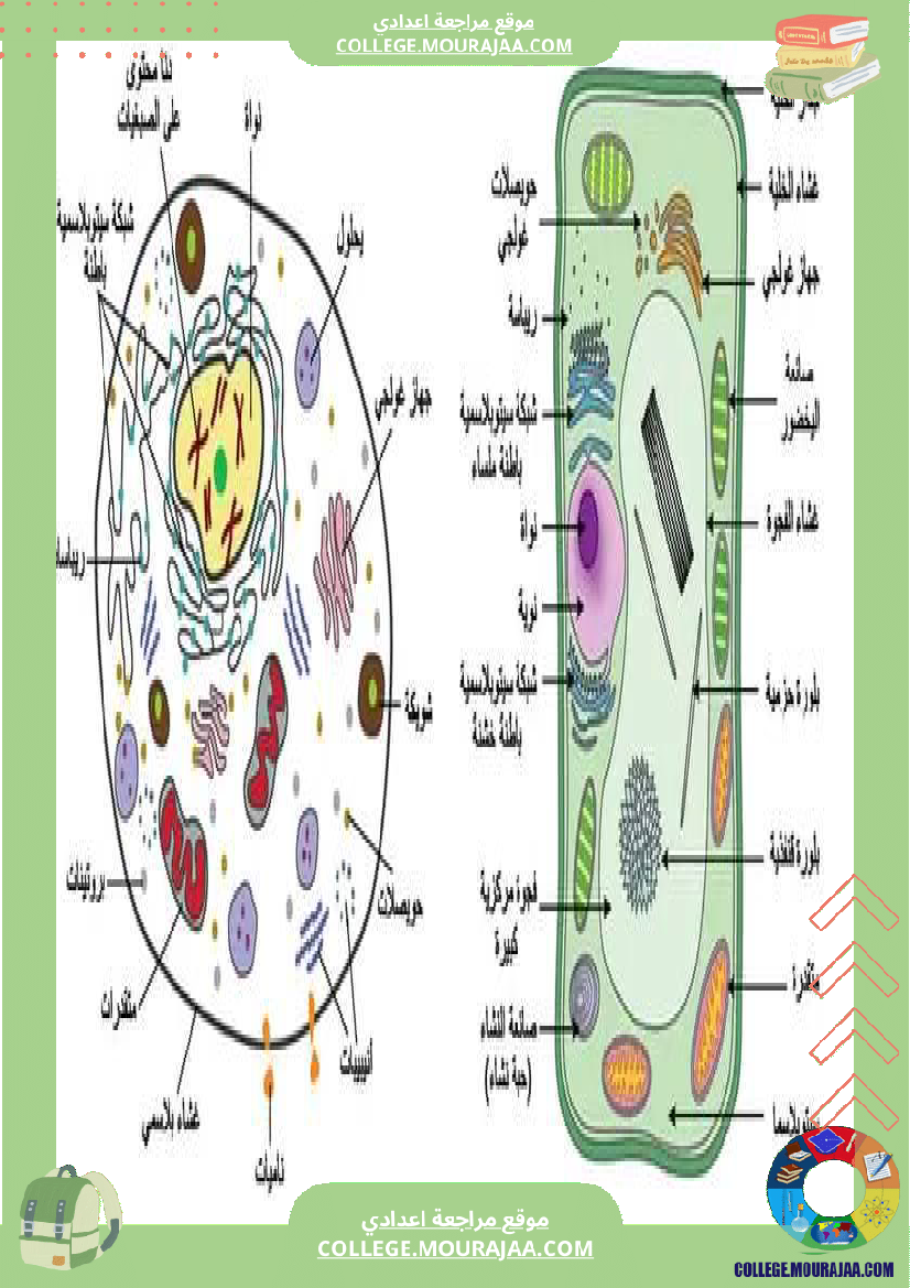 سابعة أساسي علوم الحياة و الأرض الثلاثي الثالث