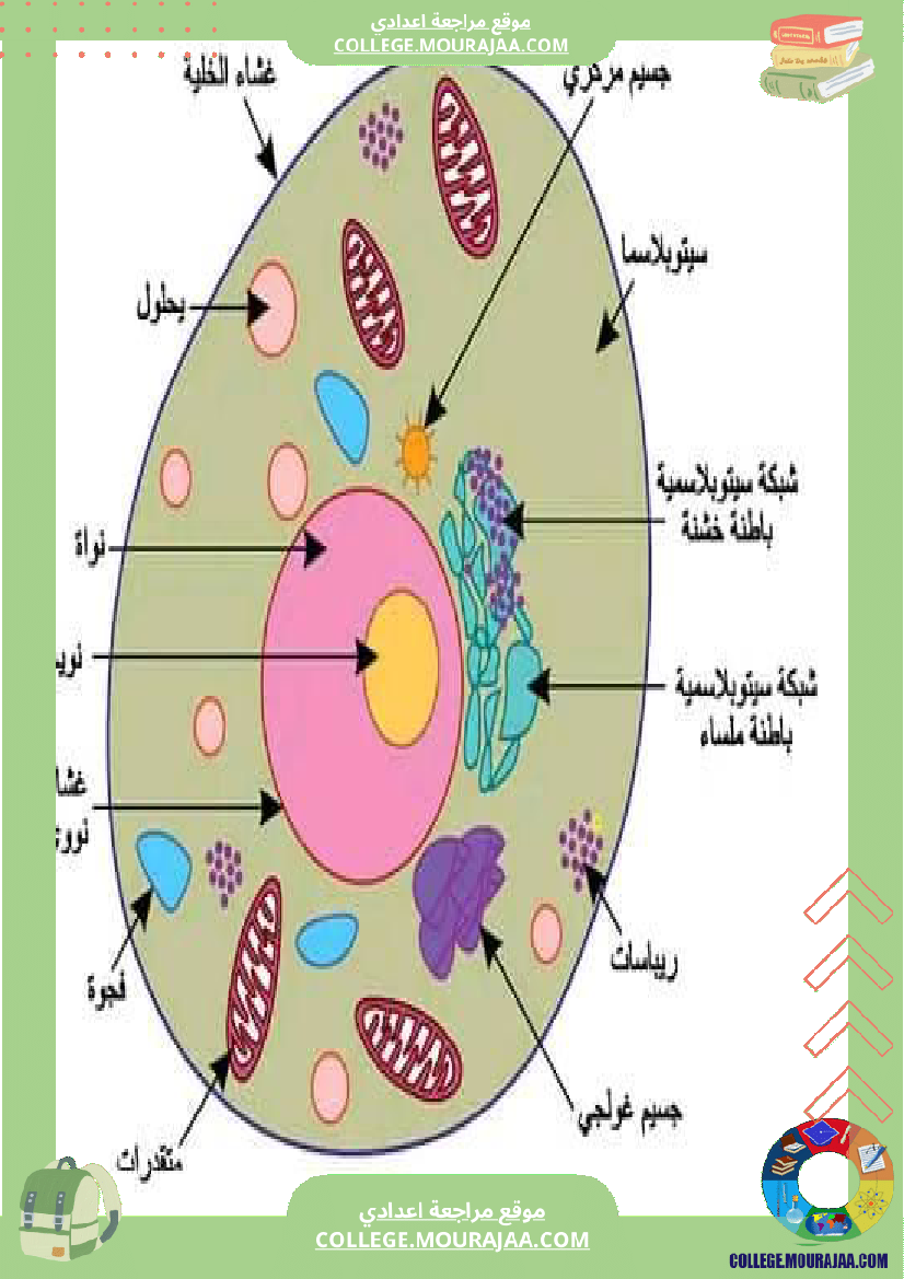 سابعة أساسي علوم الحياة و الأرض الثلاثي الثالث