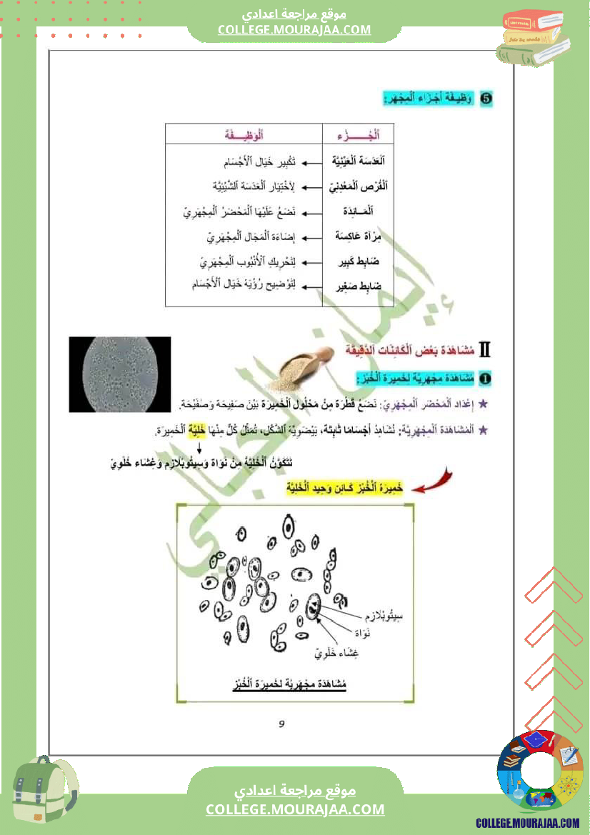 سابعة اساسي علوم الحياة و الأرض سنة درس تنوع الكائنات الدقيقة