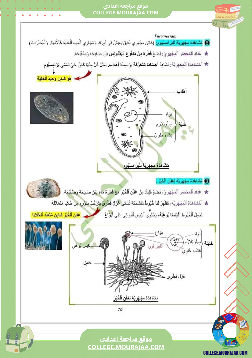 سابعة اساسي علوم الحياة و الأرض سنة درس تنوع الكائنات الدقيقة