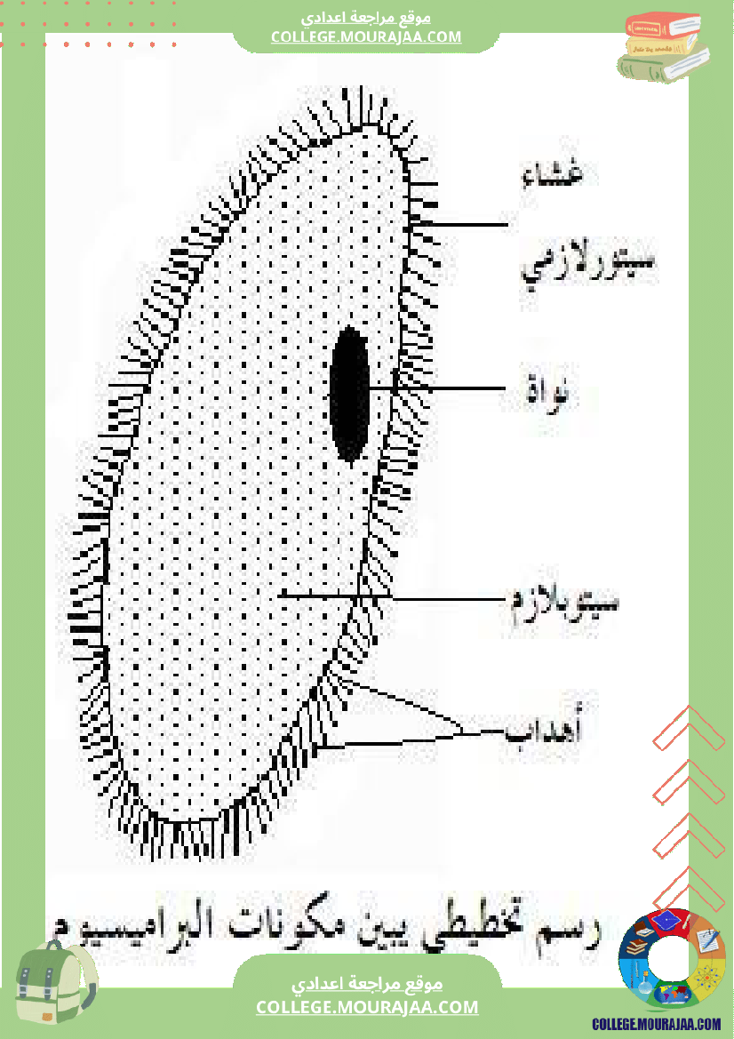 سابعة اساسي علوم الحياة و الارض ثلاثي للإفادة