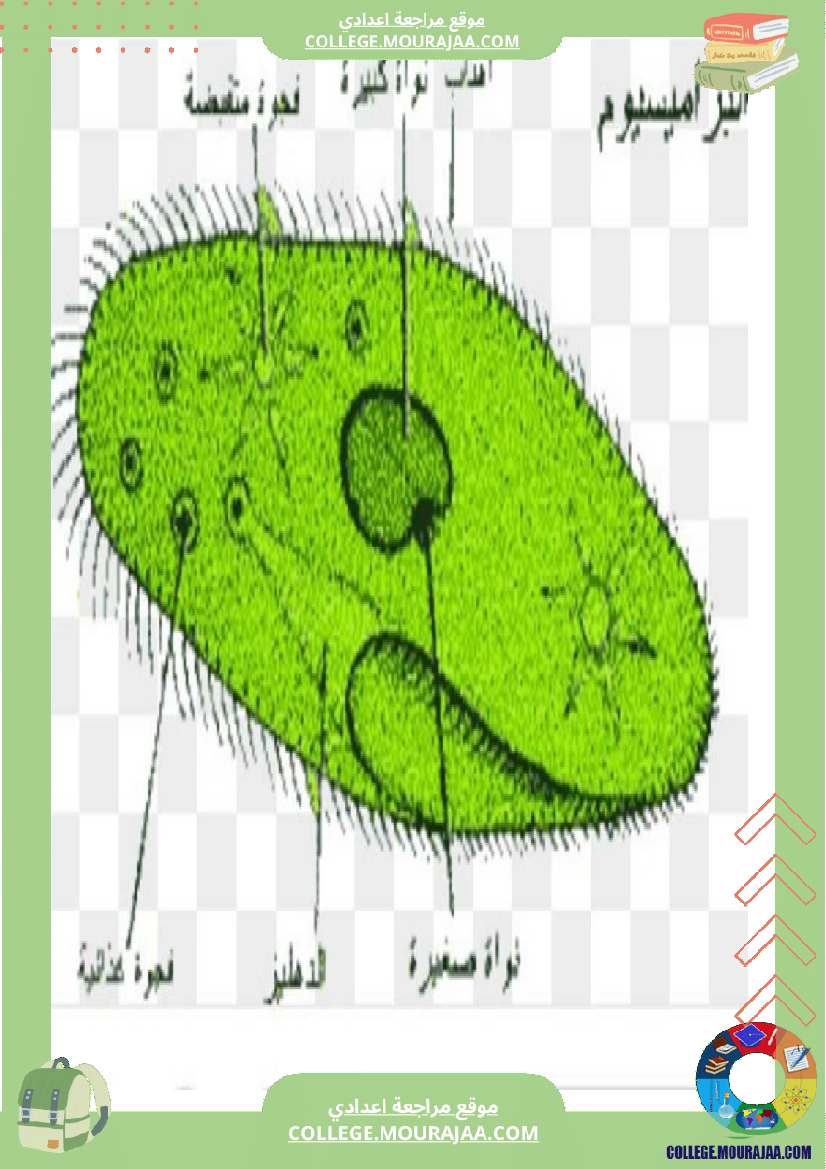 سابعة اساسي علوم الحياة و الارض ثلاثي للإفادة