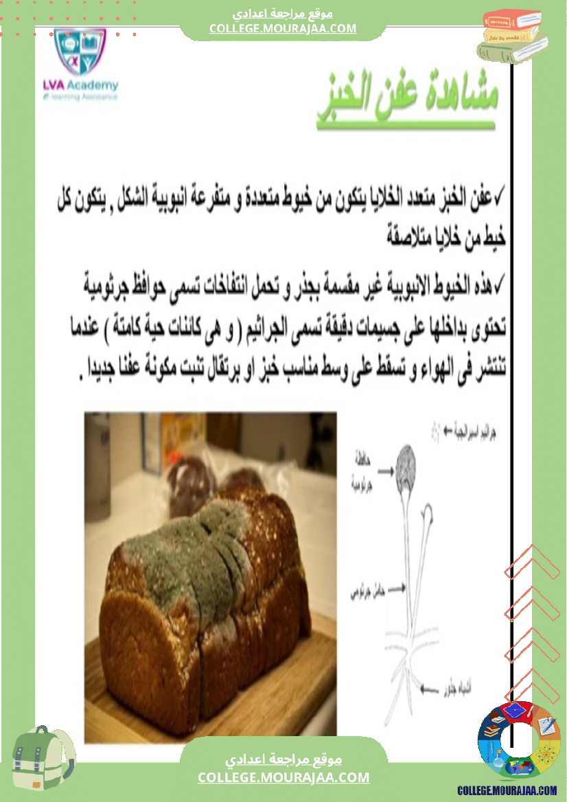 سابعة اساسي علوم الحياة و الارض ثلاثي للإفادة