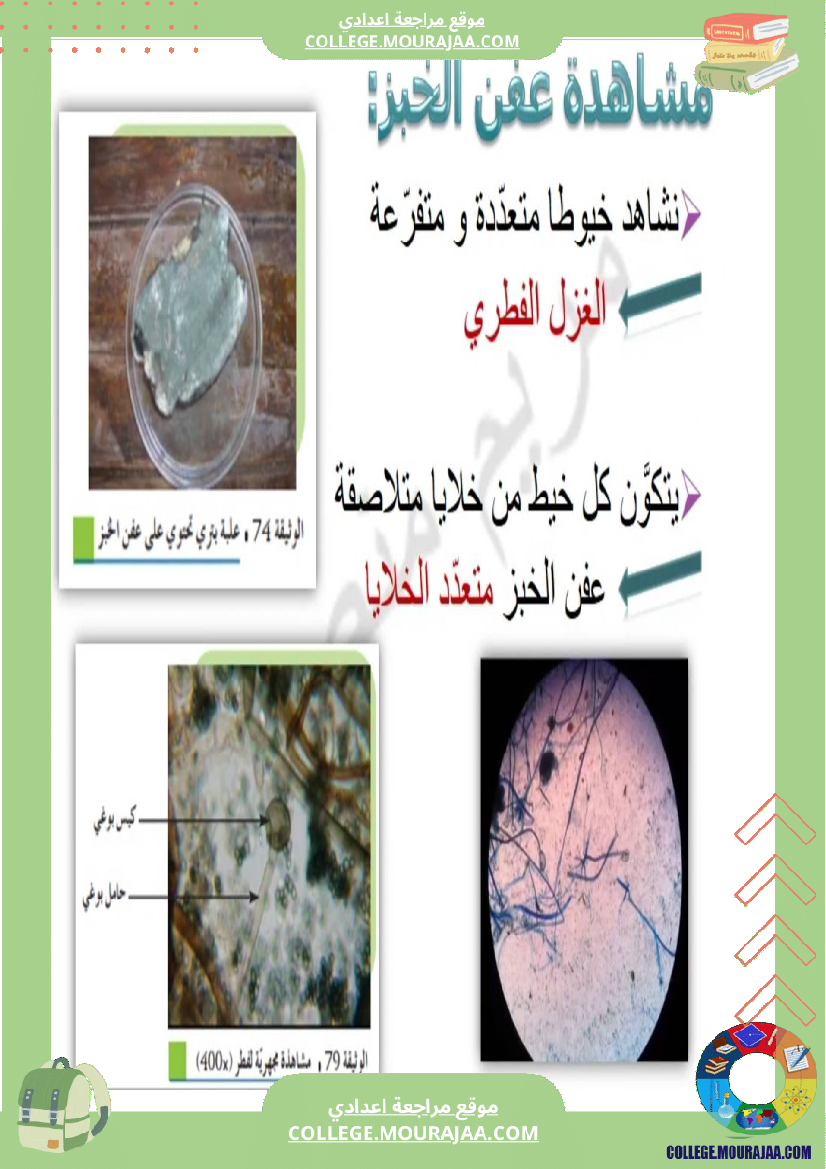 سابعة اساسي علوم الحياة و الارض ثلاثي للإفادة