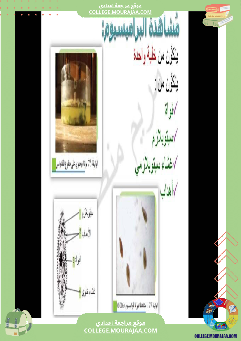 سابعة اساسي علوم الحياة و الارض ثلاثي للإفادة