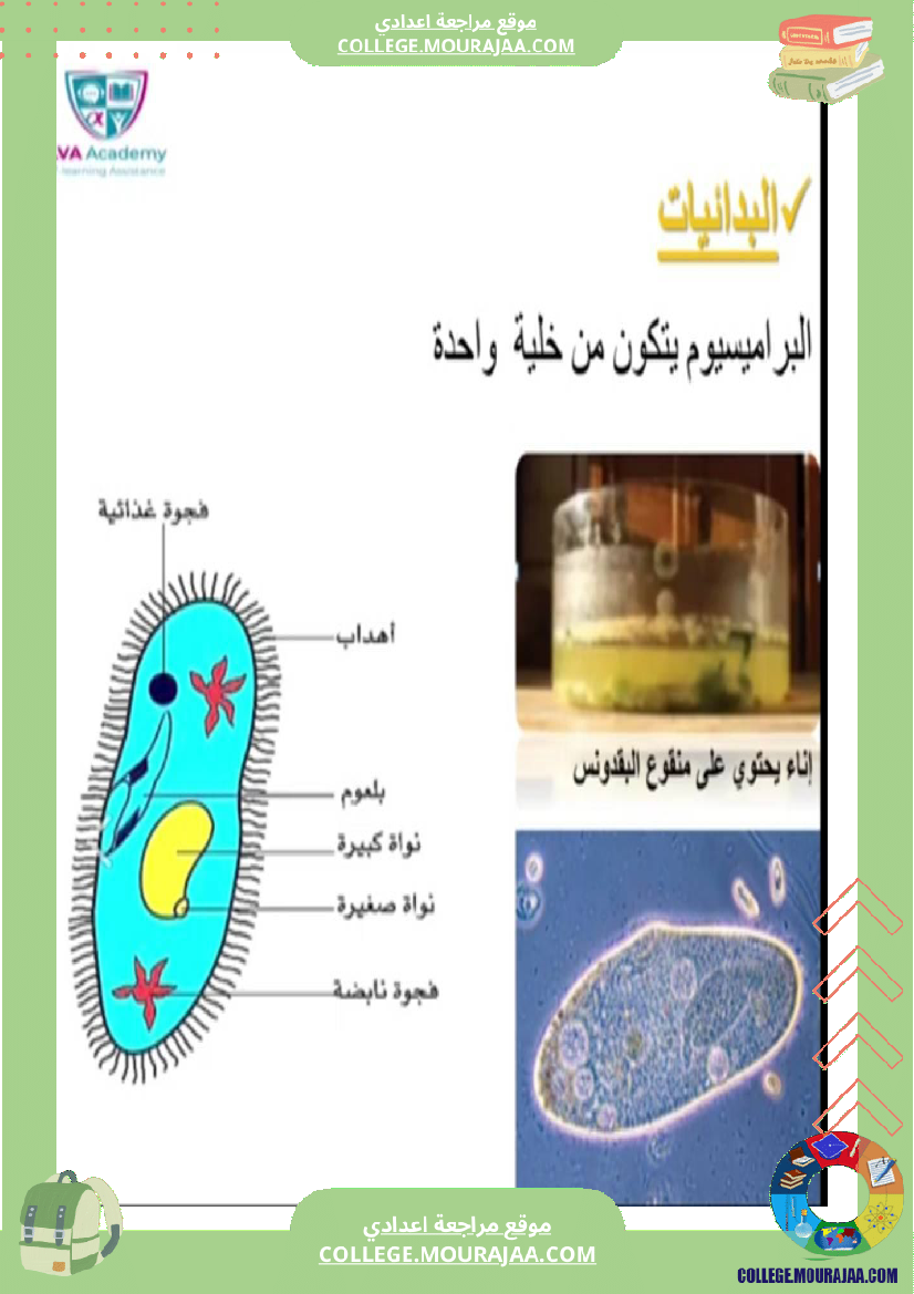 سابعة اساسي علوم الحياة و الارض ثلاثي للإفادة