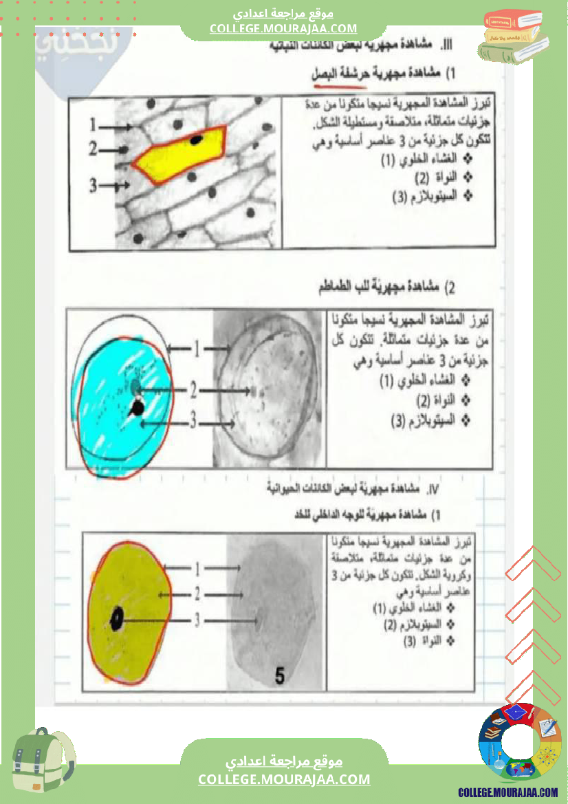 سابعة اساسي علوم الحياة و الارض ثلاثي للإفادة