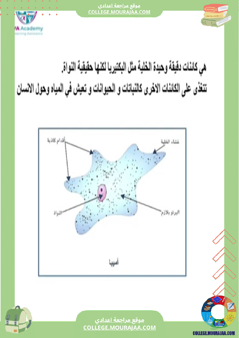سابعة اساسي علوم الحياة و الارض ثلاثي للإفادة
