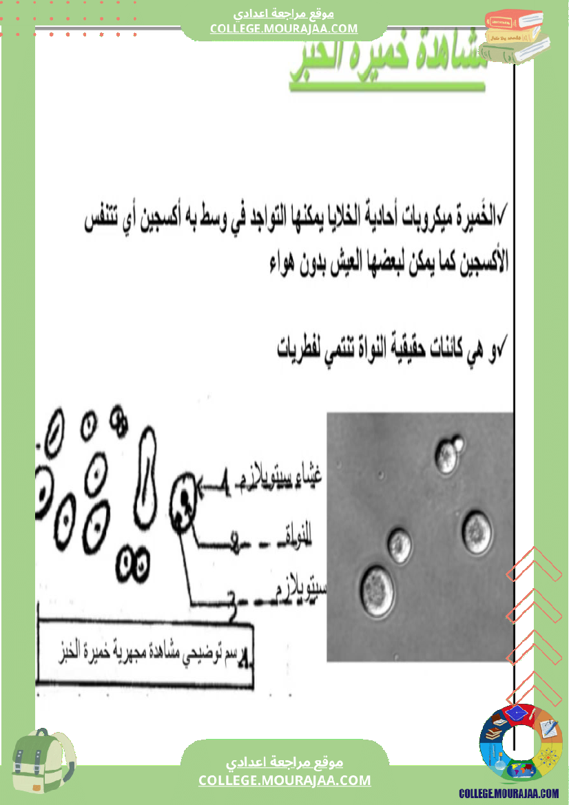 سابعة اساسي علوم الحياة و الارض ثلاثي للإفادة