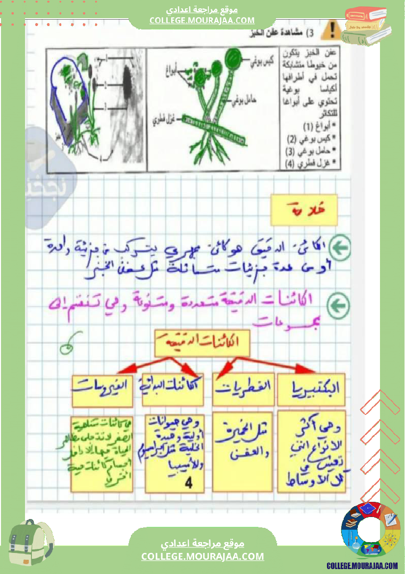 سابعة اساسي علوم الحياة و الارض ثلاثي للإفادة